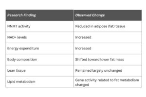 5-Amino-1MQ research findings on metabolism and body composition.