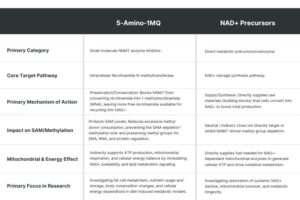 5-Amino-1MQ vs NAD+ precursors research comparison.